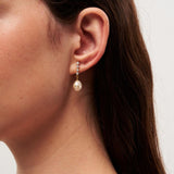 Vertical Zircon Freshwater Pearl Earrings gembea jewelry