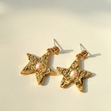 Dazzling Stars Earrings Gold Silver