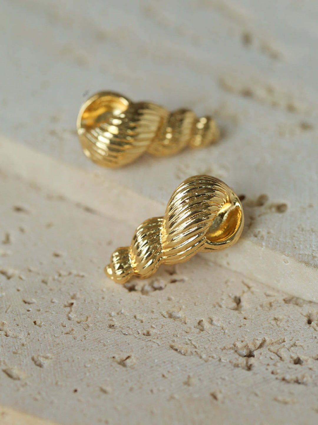 Spiral Grain Conch Stud Earrings