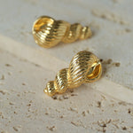 Spiral Grain Conch Stud Earrings