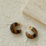 Black Agate Tiger Eye Stone Moon Bud Earrings