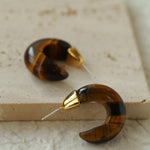 Black Agate Tiger Eye Stone Moon Bud Earrings