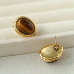 Oval Tiger Eye Stone Black Agate Earrings