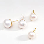 Simple Oval Freshwater Pearl Stud Earrings - Gembea Jewelry