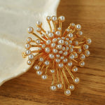 Vintage Fashion Pearl Fireworks Brooches gembea jewelry