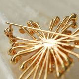 Vintage Fashion Pearl Fireworks Brooches gembea jewelry