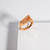 Section Design Sterling Silver Ring 18K Gold